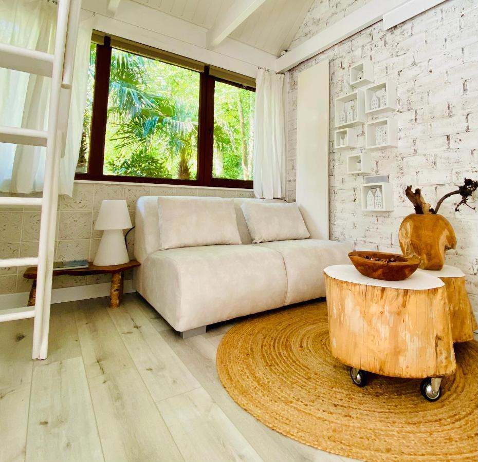 Casa De Palmas - Tiny House Villa Alkmaar Bagian luar foto