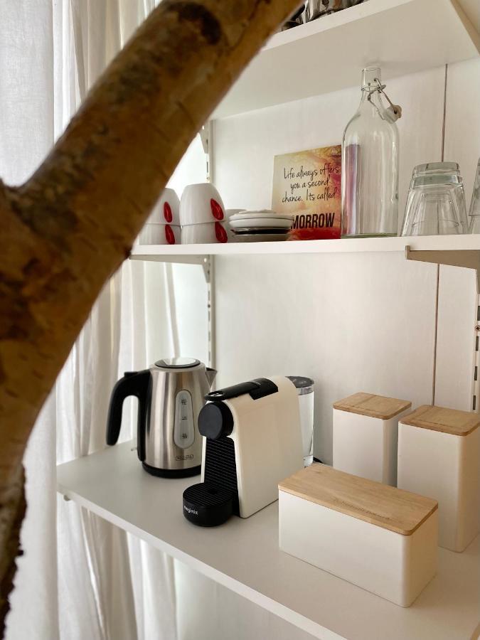 Casa De Palmas - Tiny House Villa Alkmaar Bagian luar foto